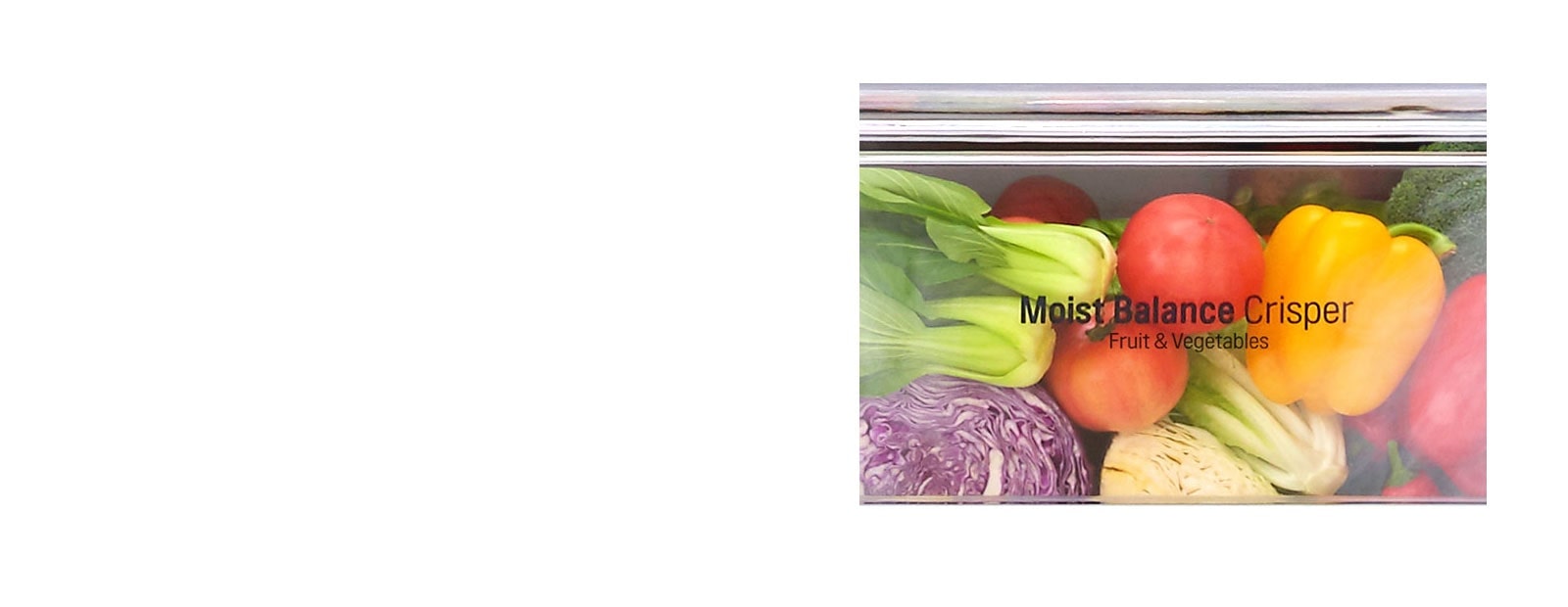 Moist Balance Crisper™