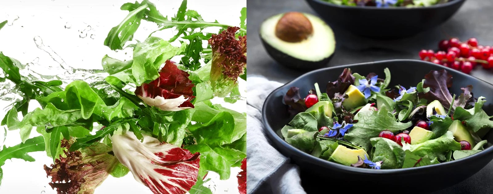 Sveže voće i povrće