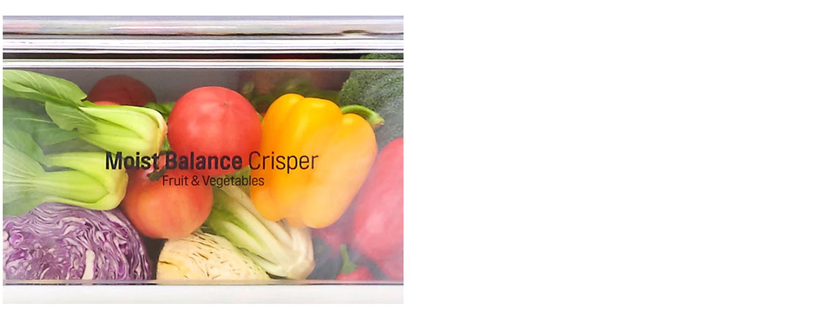 Moist Balance Crisper™