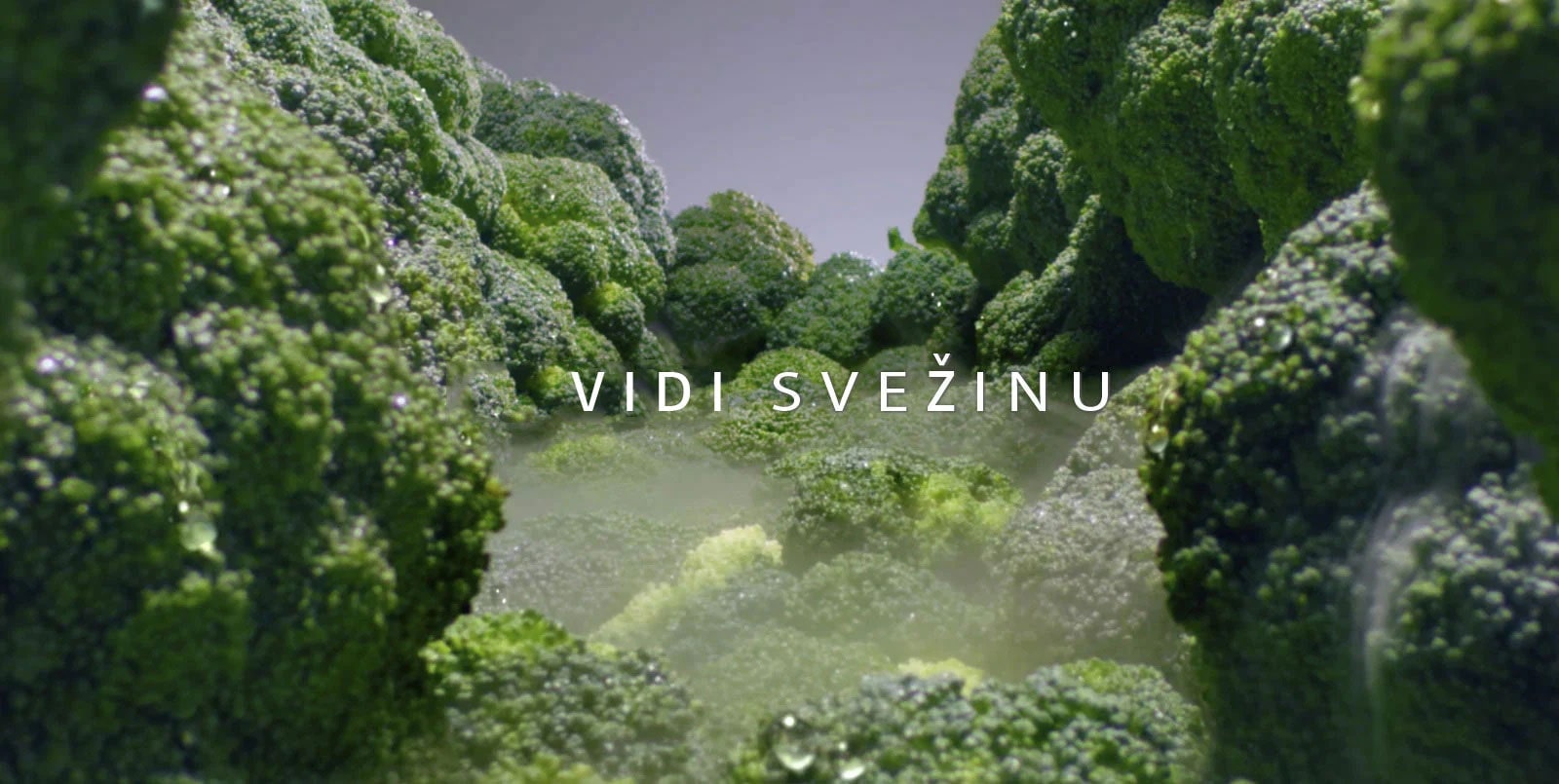 Održava duže hranu svežom