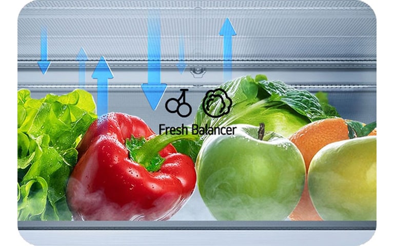 LG frižider sa donjim zamrzivačem i fiokom FRESH Balancer™ koja ilustruje kretanje vlage.