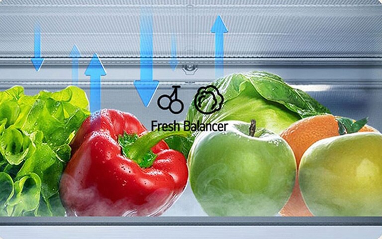 LG frižider sa donjim zamrzivačem i fiokom FRESH Balancer™ koja ilustruje kretanje vlage.