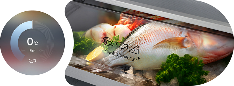 LG frižider sa donjim zamrzivačem, kružni dijagram sa 0°C sa leve strane, sveža riba u FRESHConverter+™ fioci sa desne strane.