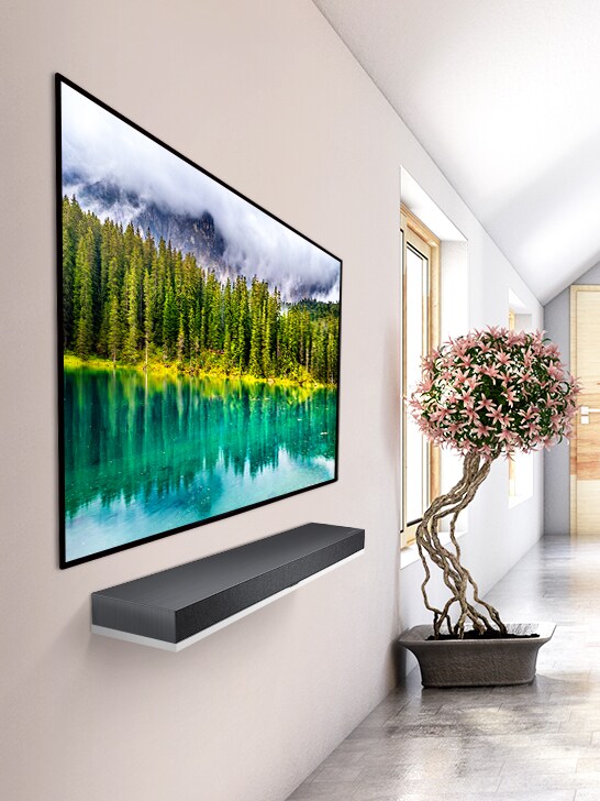 Nagib pod blagim uglom, dnevna soba sa televizorom koji prikazuje sliku prirode.