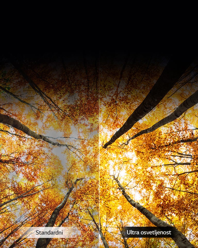 Poboljšano maksimalno osvetljenje<br>2