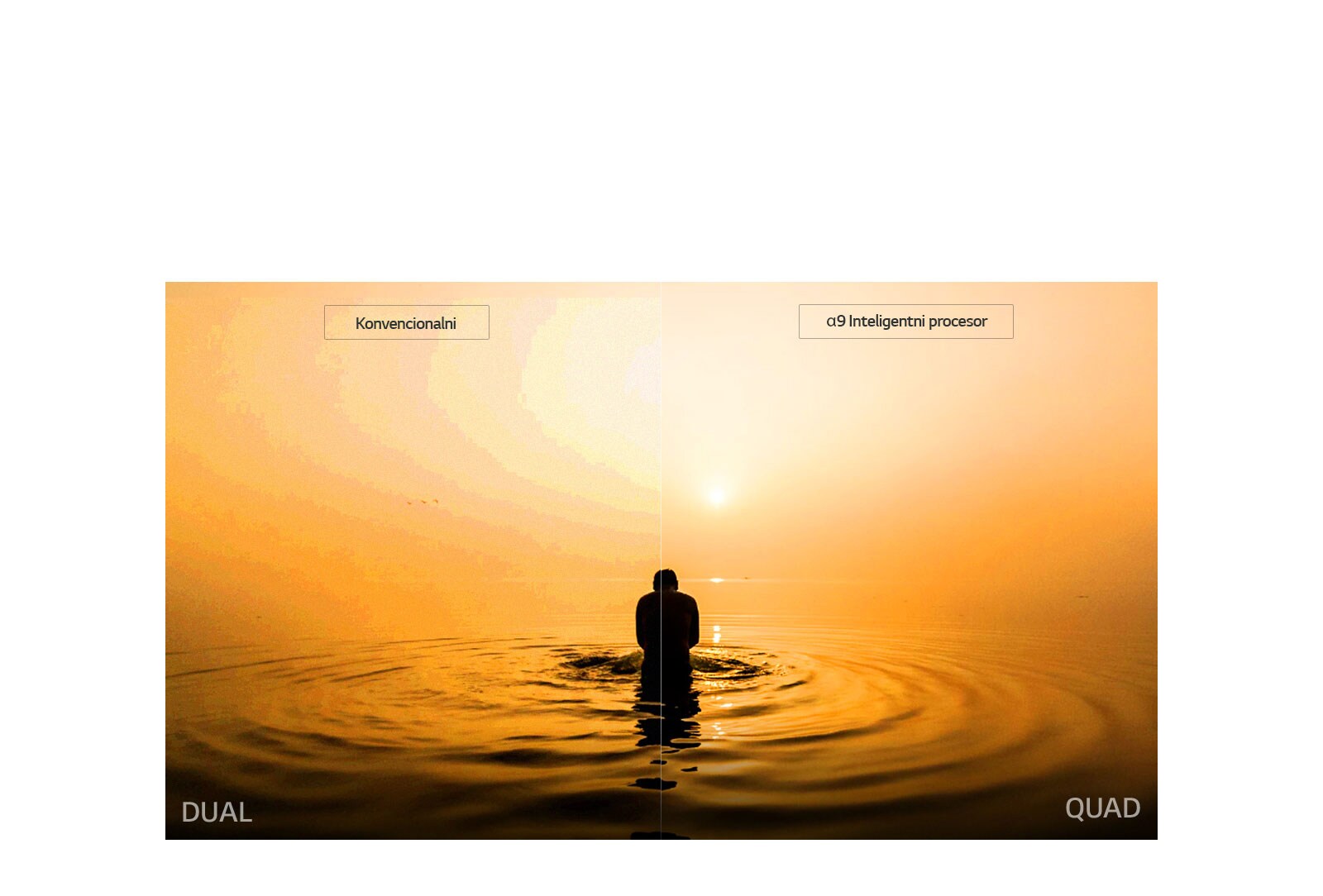 Smanjenje šuma u četiri koraka1