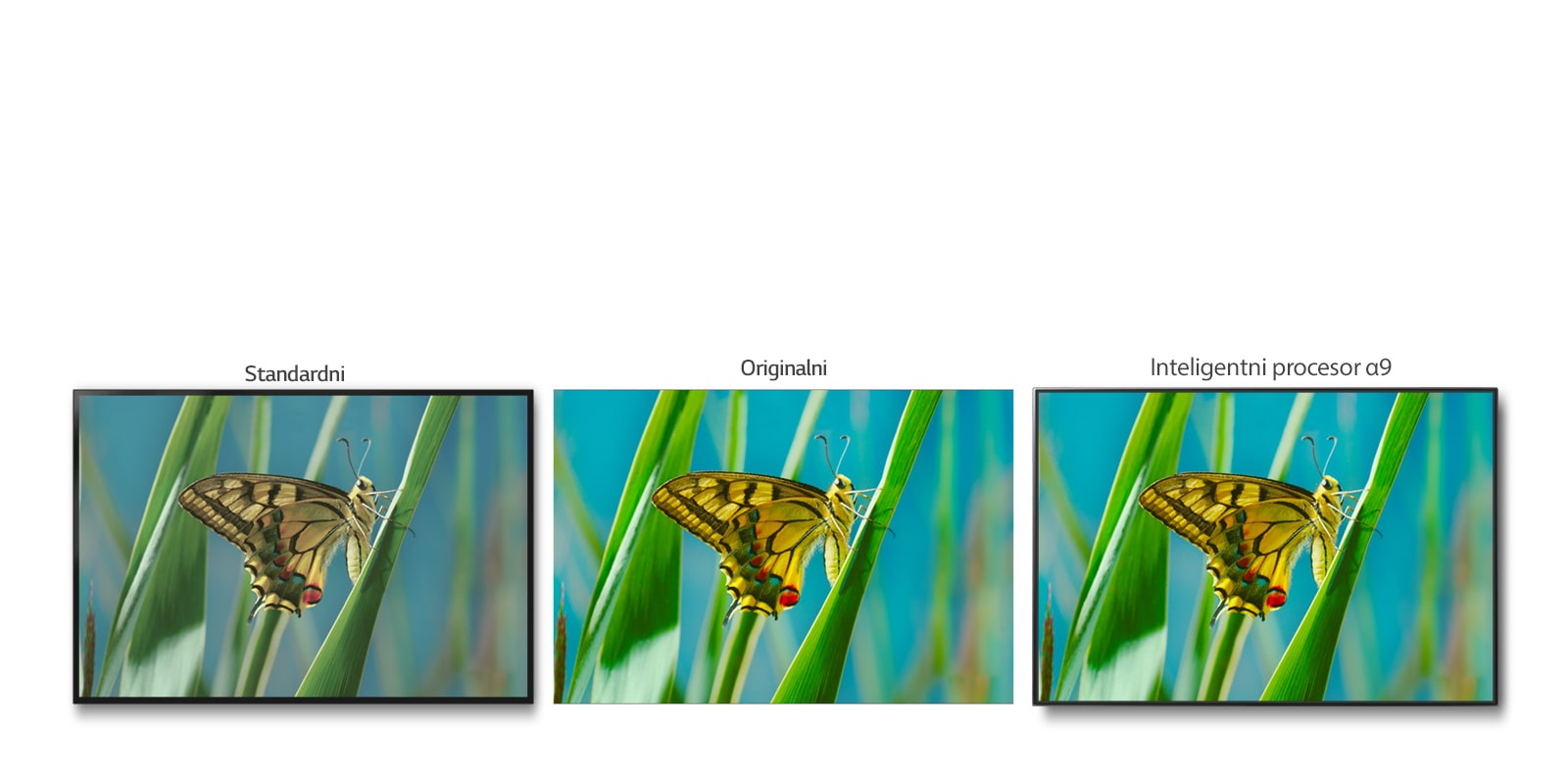 True Color Accuracy Pro1