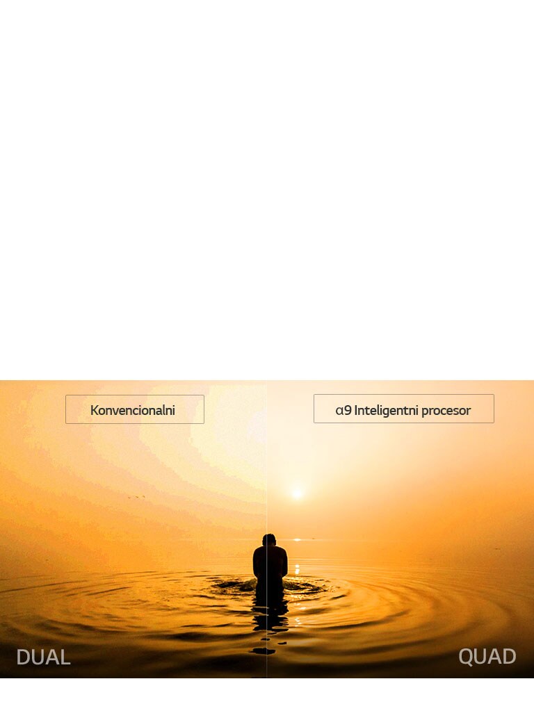 Smanjenje šuma u četiri koraka2