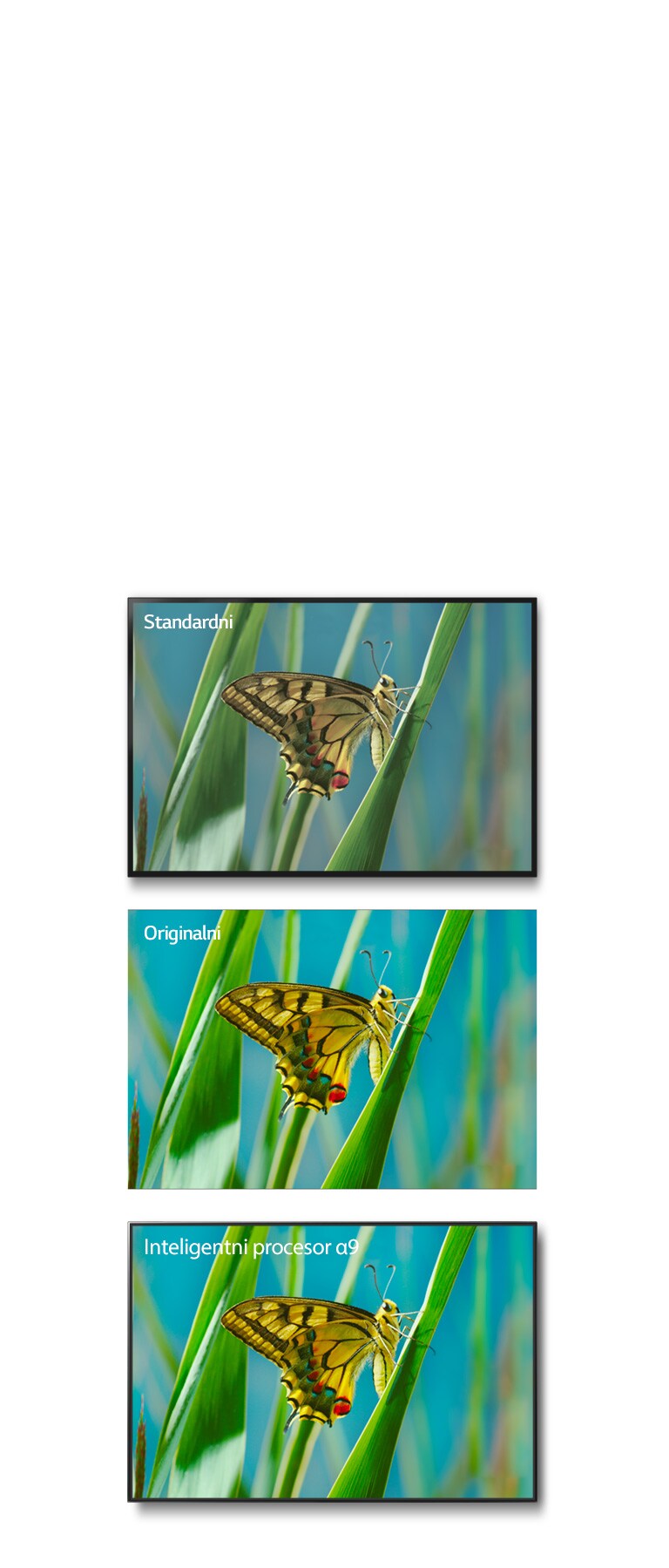 True Color Accuracy Pro2