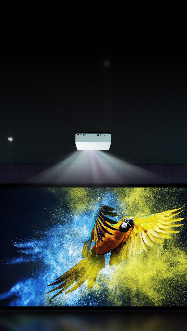 Zadivljujući 4K kućni bioskop2