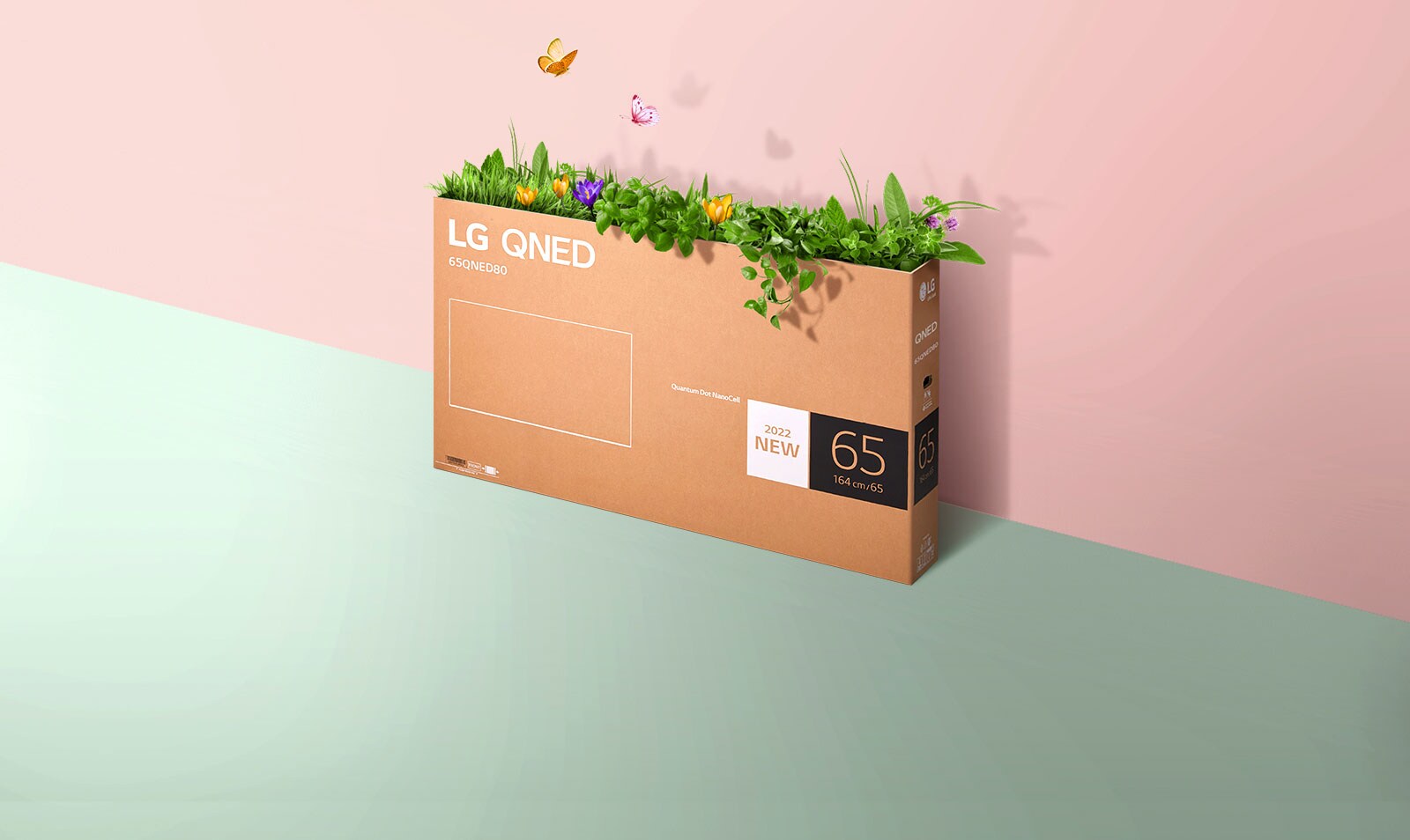 Ambalažna kutija QNED postavljena je spram ružičaste, zelene pozadine na kojoj raste trava, a leptiri se pojavljuju iz kutije. 