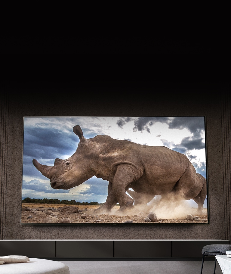 Izuzetno veliki ekran QNED ima veličanstven prikaz pri malim uglovima.