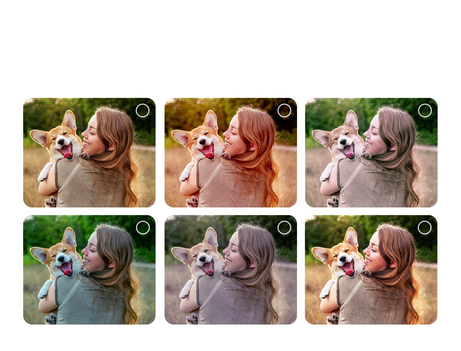 Ekran korisnika koji prolazi kroz proces personalizacije opcije AI Picture Wizard. Prikazane su serije slika sa označenim izborima korisnika. Pojavljuje se ikona učitavanja i prikazuje se položena slika koja se poboljšava sleva nadesno.