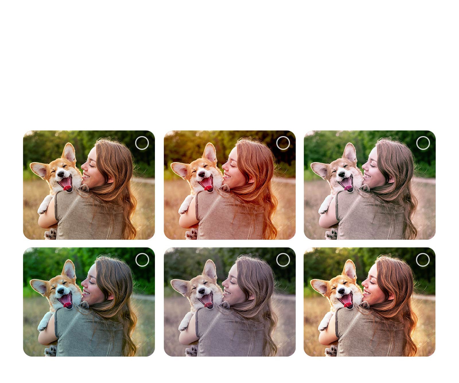Ekran korisnika koji prolazi kroz proces personalizacije opcije AI Picture Wizard. Prikazane su serije slika sa označenim izborima korisnika. Pojavljuje se ikona učitavanja i prikazuje se položena slika koja se poboljšava sleva nadesno.