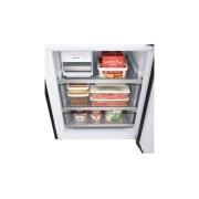 LG Kombinovani frižider sa donjim zamrzivačem, DoorCooling+™ tehnologija, ThinQ™, kapacitet 465L, Kombinovani frižider sa donjim zamrzivačem - GBBW726CEV, GBBW726CEV, thumbnail 9