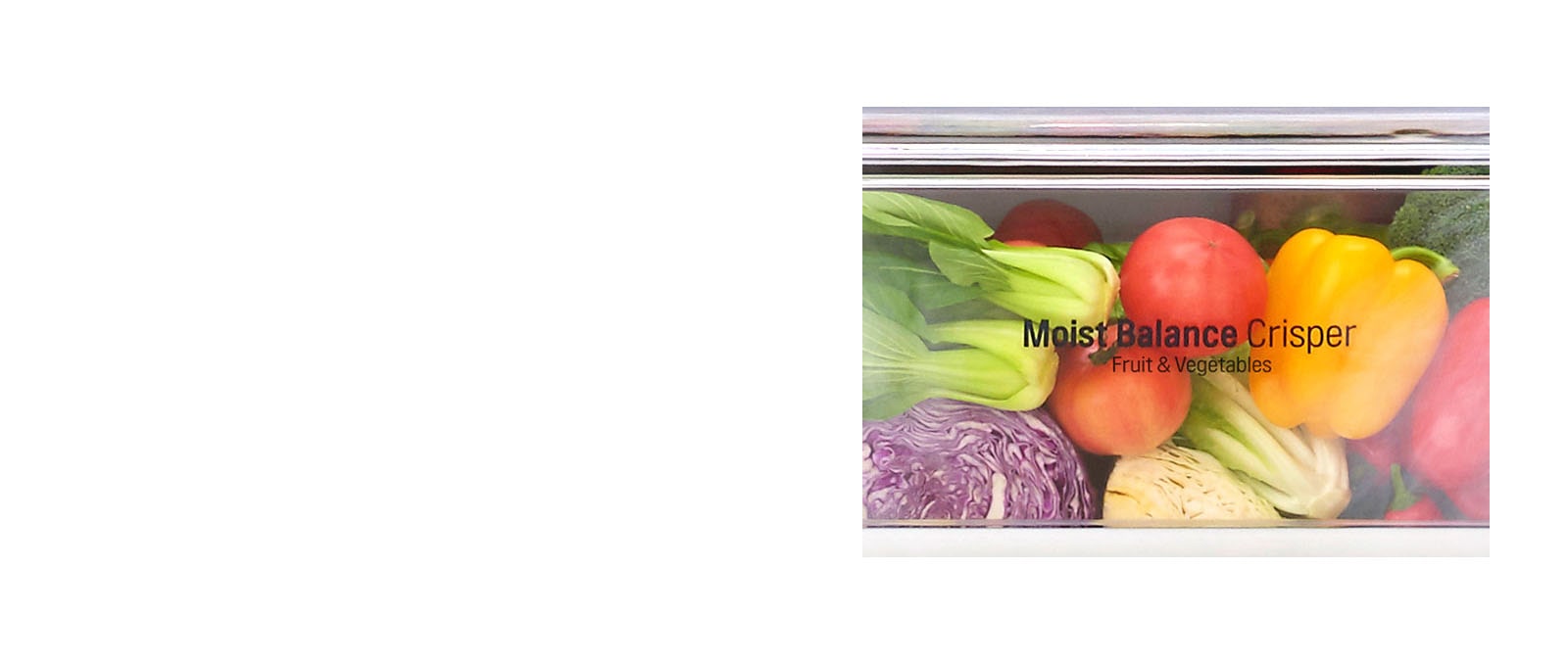 Moist Balance Crisper™
