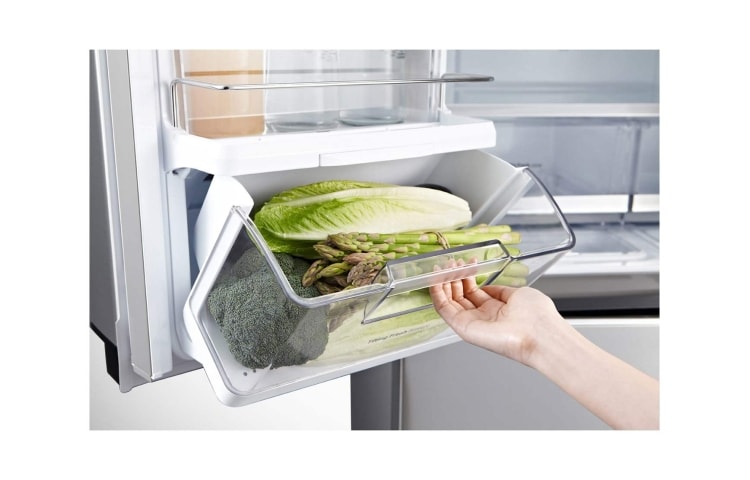 LG Kombinovani frižider sa zamrzivačem dole 4 vrata, 601 L kapaciteta, GMM916NSHV, thumbnail 6