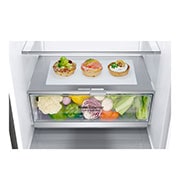 LG Kombinovani frižider sa donjim zamrzivačem, DoorCooling⁺™ tehnologija, kapacitet 384L, GBB72PZEZN, thumbnail 4