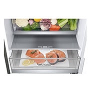 LG Kombinovani frižider sa donjim zamrzivačem, DoorCooling⁺™ tehnologija, kapacitet 384L, GBB72PZEZN, thumbnail 6