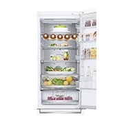 LG Kombinovani frižider sa donjim zamrzivačem, DoorCooling⁺™ tehnologija, ThinQ™, kapacitet 384L, GBB72SWUCN, GBB72SWUCN, thumbnail 9