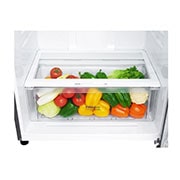 LG Kombinovani frižider sa gornjim zamrzivačem, ThinQ™, kapacitet 509L, GTF744PZHV, GTF744PZHV, thumbnail 6