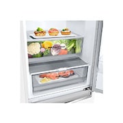 LG Kombinovani frižider sa donjim zamrzivačem, DoorCooling<sup>+</sup>™ tehnologija, kapacitet 341L, Refrigerators-Low-Perspective-View-With-Content, GBB61SWGGN, thumbnail 5
