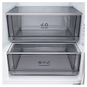 LG Kombinovani frižider sa donjim zamrzivačem, DoorCooling+™ tehnologija, ThinQ™, kapacitet 375L, Posuda za led  pogled 1, GBBSJ2CCPY, thumbnail 8