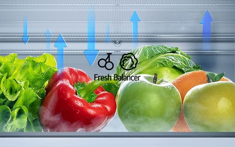 LG frižider sa donjim zamrzivačem i fiokom FRESH Balancer™ koja ilustruje kretanje vlage.