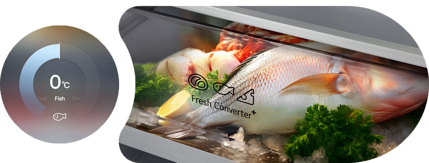 LG frižider sa donjim zamrzivačem, kružni dijagram sa 0°C sa leve strane, sveža riba u FRESHConverter+™ fioci sa desne strane.