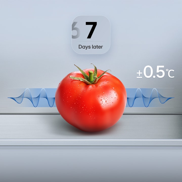 Paradajz ostaje svež u LG zamrzivaču sa donjim delom  čak i nakon 7 dana, plavi grafikon fluktuacije i tekst: ±0,5°C.