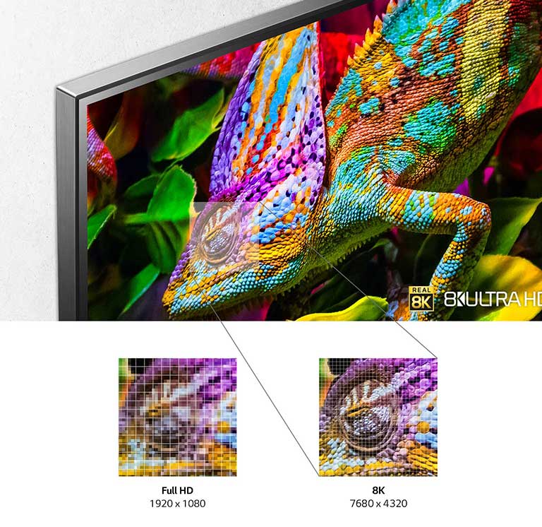 U gornjem levom delu TV ekrana prikazuje se kameleon svetlih boja spram pozadine sa lišćem. Ispod te slike nalaze se manje slike kameleonovog oka koje pokazuju razliku u detaljima između Full HD i 8K rezolucije.