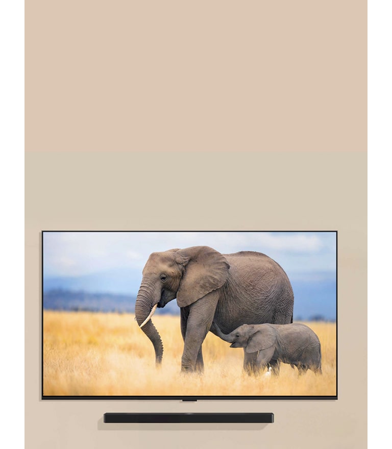 LG TV postavljen na zidu dnevne sobe sa LG Soundbar zvučnikom postavljenim neposredno ispod. Na TV-u su dva slona, a ispred TV-a stoji malo dete.