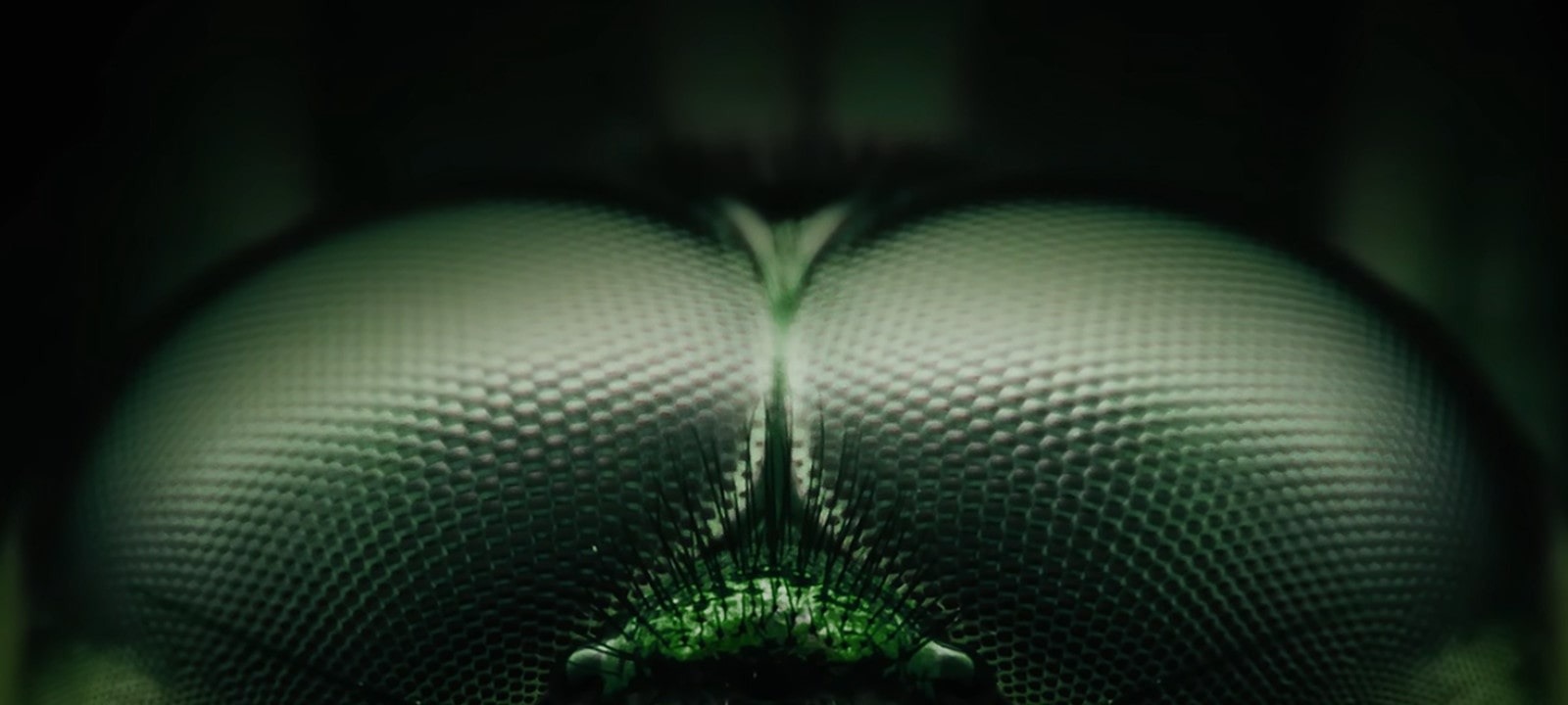 Video koji ističe cutting-edge svetlu tehnologiju LG OLED gejming monitora inspirisanu očima vilin konjica i Micro Lens Array+ tehnologijom.