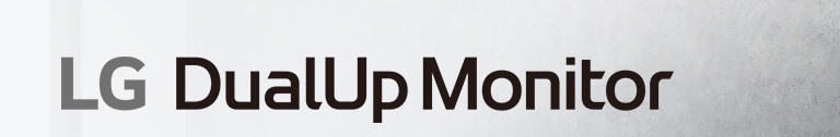 LG DualUp monitor