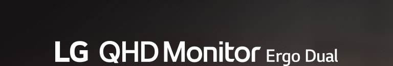 LG QHD monitor Ergo Dual