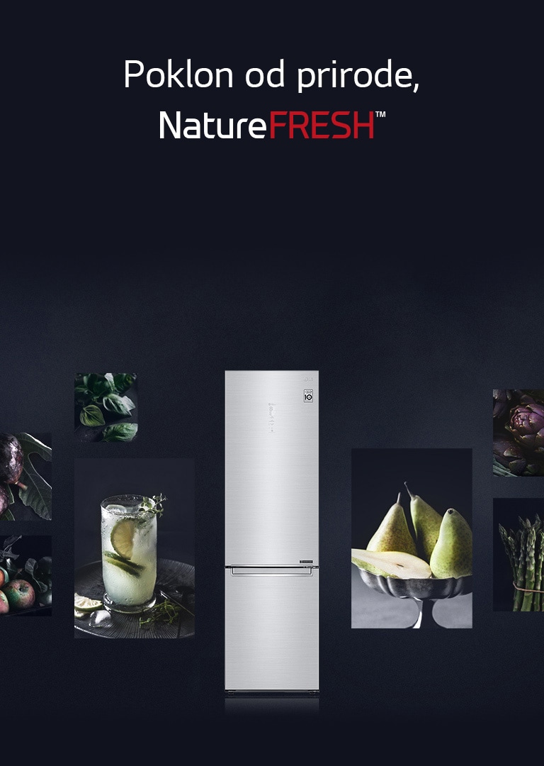 Total No Frost modeli frižidera | LG Srbija