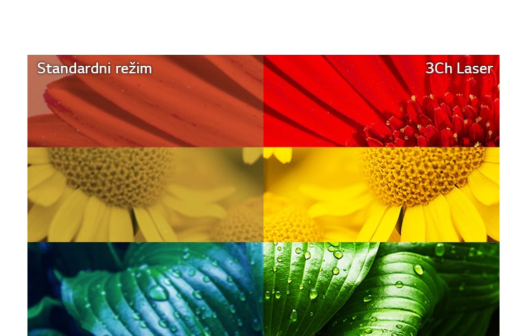 Vrhunska preciznost boja2