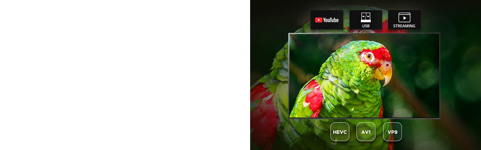 TV ekran prikazuje dokumentarac sa zelenim papagajem pomoću Youtube-a, USB uređaja i konica za prosleđivanje