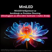 LG 50 inčni LG QNED evo AI QNED87 4K Smart televizor 2025, Položena slika pećine koja gleda ka čistom plavom nebu podeljena je po sredini, pri čemu je jedna polovina slike bleda, dok druga prikazuje oštar kontrast. U donjem levom uglu je mala slika koja prika, 50QNED87A3D, thumbnail 7