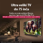 LG 50 inčni LG QNED evo AI QNED87 4K Smart televizor 2025, Devojka i pas sede ispred LG QNED TV-a postavljenog na zid koji prikazuje tri slona koji hodaju napolju iznad LG Soundbar-a. Naslov govori o tome kako je svaka radnja uzbudljivija na velikom ekranu., 50QNED87A3D, thumbnail 8