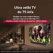 LG 75 inčni LG QNED evo AI QNED87 4K Smart televizor 2025, Naslov govori o tome kako je svaka radnja uzbudljivija na velikom ekranu., 75QNED87A3B, thumbnail 6