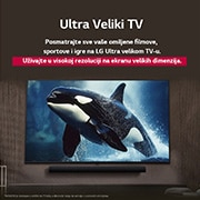 LG 65-inčni LG NanoCell AI NANO80 4K pametni televizor 2025, LG TV sa impresivno velikim ekranom postavljenim na zid iznad LG Soundbar-a u dnevnoj sobi savremenog stila., 65NANO80A3B, thumbnail 8