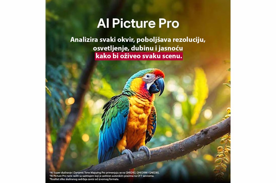 LG 100-inčni LG QNED evo AI QNED86 4K pametni televizor 2025, Papagaj na grani drveta u živopisnim bojama. Naslov govori o tome kako je LG AI Picture Pro napravio impresivna vizuelna poboljšanja rezolucije, osvetljenosti, dubine i jasnoće scene., 100QNED86A6, thumbnail 7