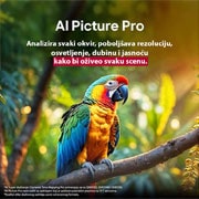 LG 100-inčni LG QNED evo AI QNED86 4K pametni televizor 2025, Papagaj na grani drveta u živopisnim bojama. Naslov govori o tome kako je LG AI Picture Pro napravio impresivna vizuelna poboljšanja rezolucije, osvetljenosti, dubine i jasnoće scene., 100QNED86A6, thumbnail 7