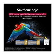 LG 65 inčni LG OLED evo AI C5 4K pametni televizor 2025, Zadivljujući i živopisni vatromet je na ekranu televizora. Prikazuje 100% vernost boja koja pokazuje tačne boje čak i na sunčevoj svetlosti.  Vidi se sertifikat logotipa, a Perfect Color Technology pr, OLED65C51LA, thumbnail 9