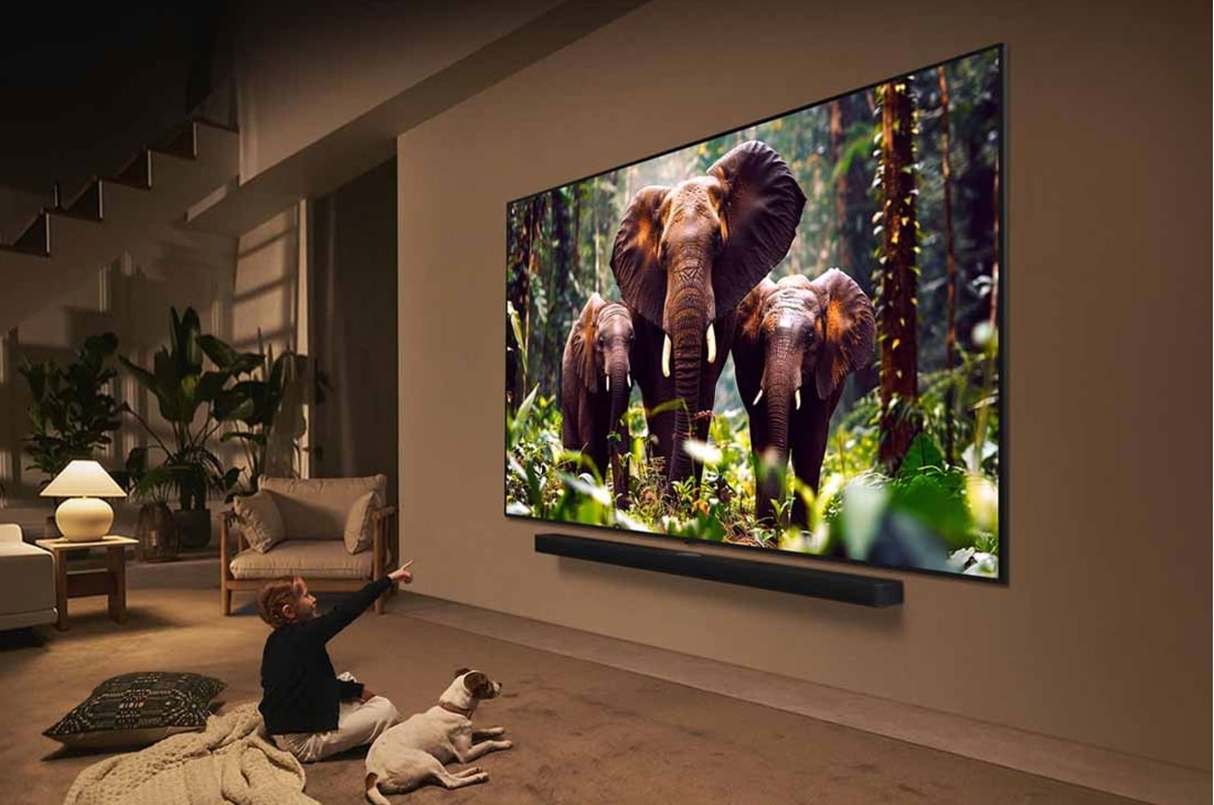 LG 75 inčni LG QNED evo AI QNED85 4K pametni televizor 2025, Devojka i pas sede ispred LG QNED TV-a postavljenog na zid koji prikazuje tri slona koji hodaju napolju iznad LG Soundbar-a. Naslov govori o tome kako je svaka radnja uzbudljivija na velikom ekranu., 75QNED85A3C, thumbnail 11