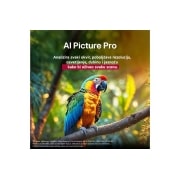 LG 75 inčni LG QNED evo AI QNED85 4K pametni televizor 2025, Papagaj na grani drveta u živopisnim bojama. Naslov govori o tome kako je LG AI Picture Pro napravio impresivna vizuelna poboljšanja rezolucije, osvetljenosti, dubine i jasnoće scene., 75QNED85A3C, thumbnail 7