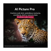 LG 77 inčni LG OLED evo AI C5 4K pametni televizor 2025, OLED77C51LA, thumbnail 10