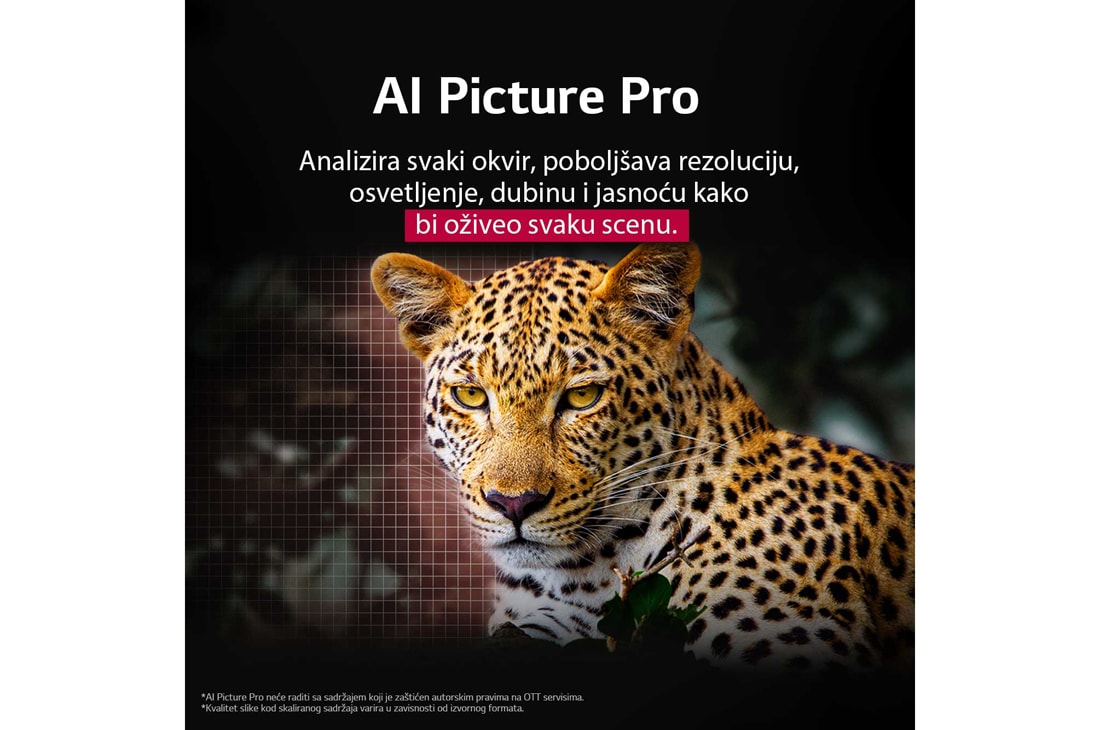 LG 48 inčni LG OLED evo AI C5 4K pametni televizor 2025, Leopard u šumi u živopisnim bojama i detaljima. Iza leoparda su mreža i svetlo koje sija, što ukazuje na to kako je LG AI Picture Pro napravio impresivna vizuelna poboljšanja rezolucije, osvetljenosti, OLED48C51LA, thumbnail 10