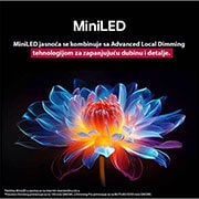 LG 43 inčni LG QNED evo AI QNED85 4K pametni televizor 2025, 43-inčni LG QNED evo AI QNED85 4K pametni televizor 2025, 43QNED87A3D, thumbnail 5